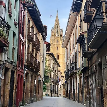 Jardin De San Feliz / Fontan
