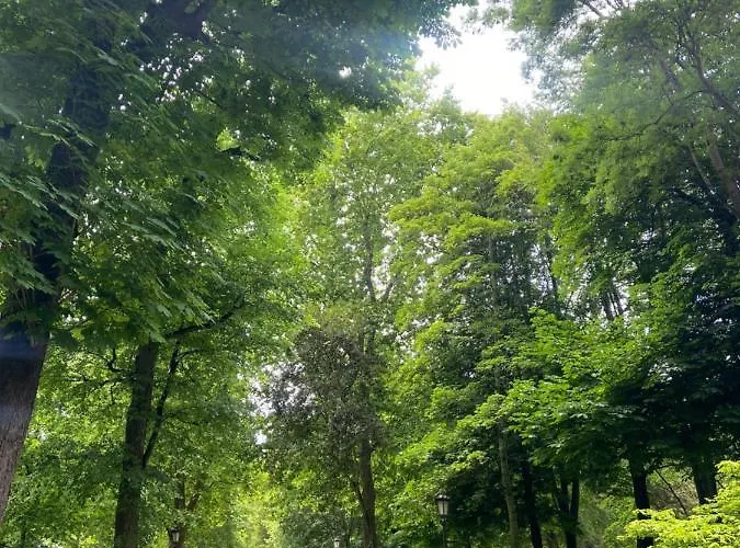 Jardin De San Feliz / Fontan *